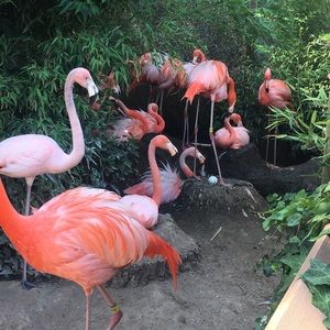 Meet your Posher, Terra